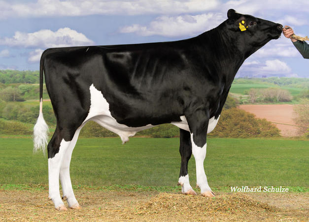 De “second single step” legt jeugd geen windeieren